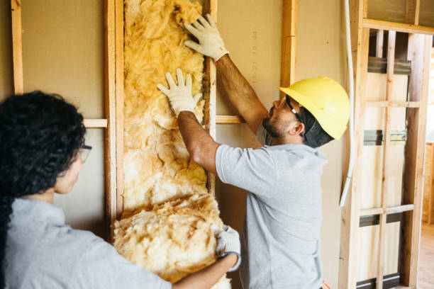 Types of Insulation We Offer in Edinburg, VA